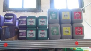 Controledag aanpak growshops