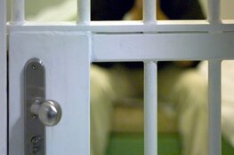 Acht jaar cel voor doodslag Uilebomen