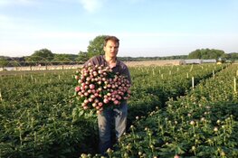 Innovatiedag Pioenroos op 22 april in 2022