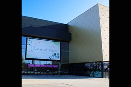 Beleef de magische wereld van het trouwen!