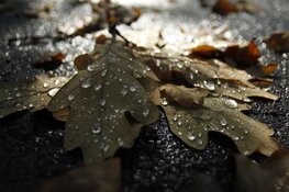 Na wisselvallige dagen volgt koude overgang naar december