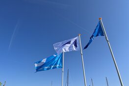 De Flevoland regatta 2024. Hou je van ZEILEN...... DOE DAN MEE!