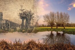 Brabant doet aanvraag voor status Van Gogh Nationaal Park