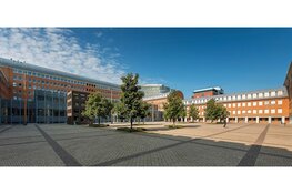 In hoger beroep ontslag van rechtsvervolging voor steekpartij Bladel