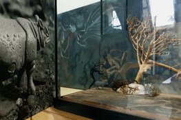 Bijdrage Cultuurfonds Noord-Brabant voor 15 nieuwe makers