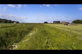 Openstelling subsidieregeling ‘Samenwerking voor Integrale Gebiedsontwikkeling’