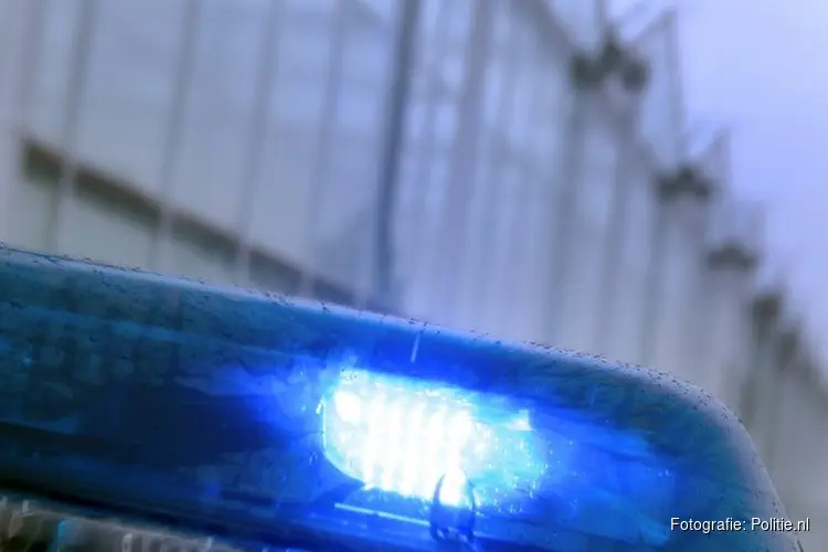 Meerdere geparkeerde auto's in brand gevlogen