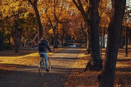Na onstuimig weekend volgt rustiger herfstweer met hogere temperaturen
