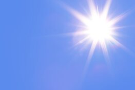 Provincie ondersteunt gemeenten met nieuwe subsidieregeling voor aanpak hittestress