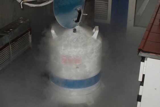 'Brabant openhouden' met nieuwe stikstofaanpak veehouderijen