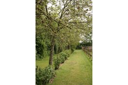 Succesvolle subsidieregeling landschapselementen voor particulieren en agrariërs verlengd