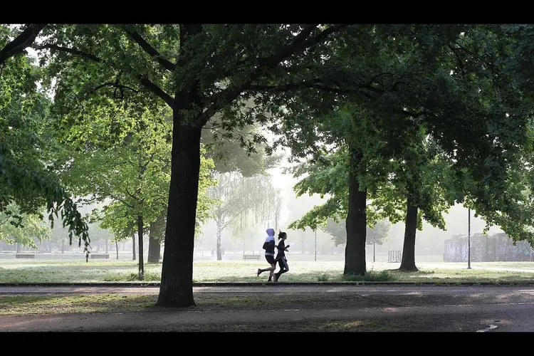 Brabanders steeds minder actief, minder dan helft voldoet aan beweegrichtlijn