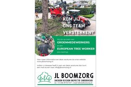 Werken in de boomzorg bij JL Boomzorg