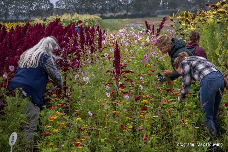 Veel animo en enthousiasme voor Boer zoekt Buur op De Zwaluw
