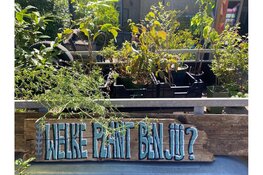 Cultuurfonds Noord-Brabant investeert ruim € 250.000 in 59 cultuur- en natuurprojecten
