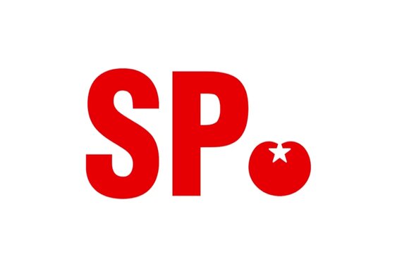 Inge Verdaasdonk stopt als fractievoorzitter van SP Breda